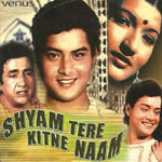 Shyam Tere Kitne Naam Lyrics - Shyam Tere Kitne Naam