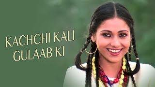 Kachchi Kali Gulab Ki Video