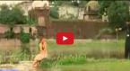 Panchhi Nadiya Pawan Ke Jhonke Video Song