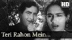 Teri Raahon Mein Khade Hain Video Song